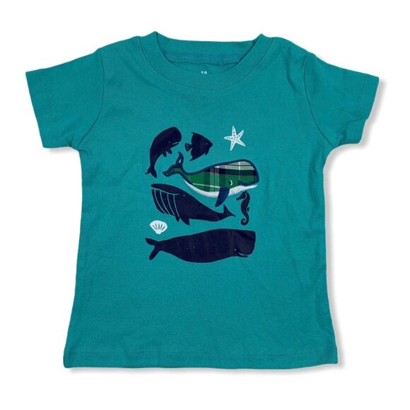 Big Splash 3 pieces Set Short/T-Shirt/Bodysuit Boys Kids Green/White 18 months - Picture 2 of 12